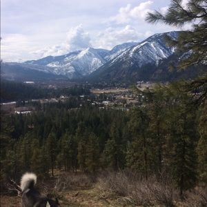 Meet your Posher, Cj